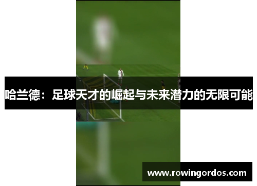 哈兰德：足球天才的崛起与未来潜力的无限可能