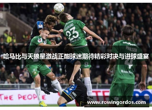 哈马比与天狼星激战正酣球迷期待精彩对决与进球盛宴