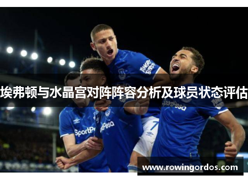 埃弗顿与水晶宫对阵阵容分析及球员状态评估