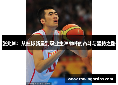 张兆旭：从篮球新星到职业生涯巅峰的奋斗与坚持之路